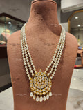 Elegant Bhoomi Long Necklace